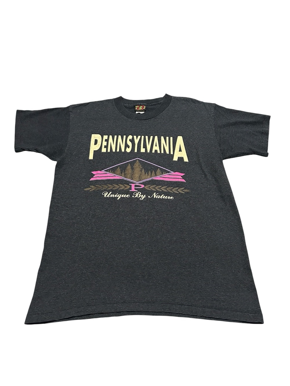 Vintage 90s Men’s Large TSI Pennsylvania Unique by Nature Souvenir T-Shirt
